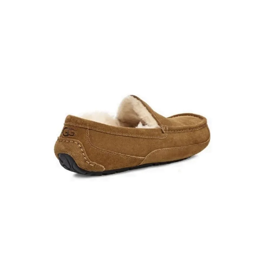 UGG designer hp